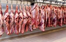 توزیع مستقیم گوشت قرمز در تهران برای کاهش قیمت ها