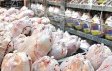 کاهش قیمت مرغ و تخم‌مرغ در بازارادامه دارد/کاهش 10 هزارتومنی قیمت مرغ