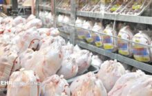 خرید مرغ برای تامین ذخایر استراتژیک