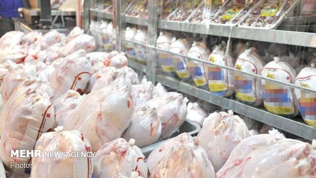 خرید مرغ برای تامین ذخایر استراتژیک