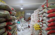 آغاز مانور نظارت بر قیمت کالاهای اساسی/کاهش قیمت برنج ایرانی