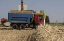 روند استقرار کاروان‌های غلات در ۳ بندر اوکراین آغاز شد