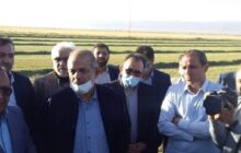 وزیر کشور از دو واحد تولیدی در خراسان رضوی بازدید کرد
