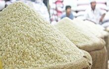 اعمال محدودیت‌ جدید برای واردات برنج/ تجار قادر به ترخیص نیستند