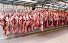 ثبات نسبی در قیمت تمام کالاهای اساسی به جز گوشت