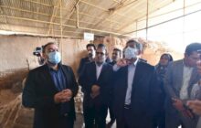 قول ایجاد موزه در قلعه گبری و بازارچه صنایع دستی در ری