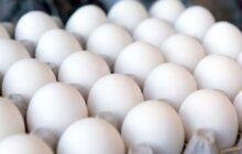 قیمت تخم مرغ حداکثر ۹۰ هزار تومان/ نهاده ها هنوز تحویل داده نشده