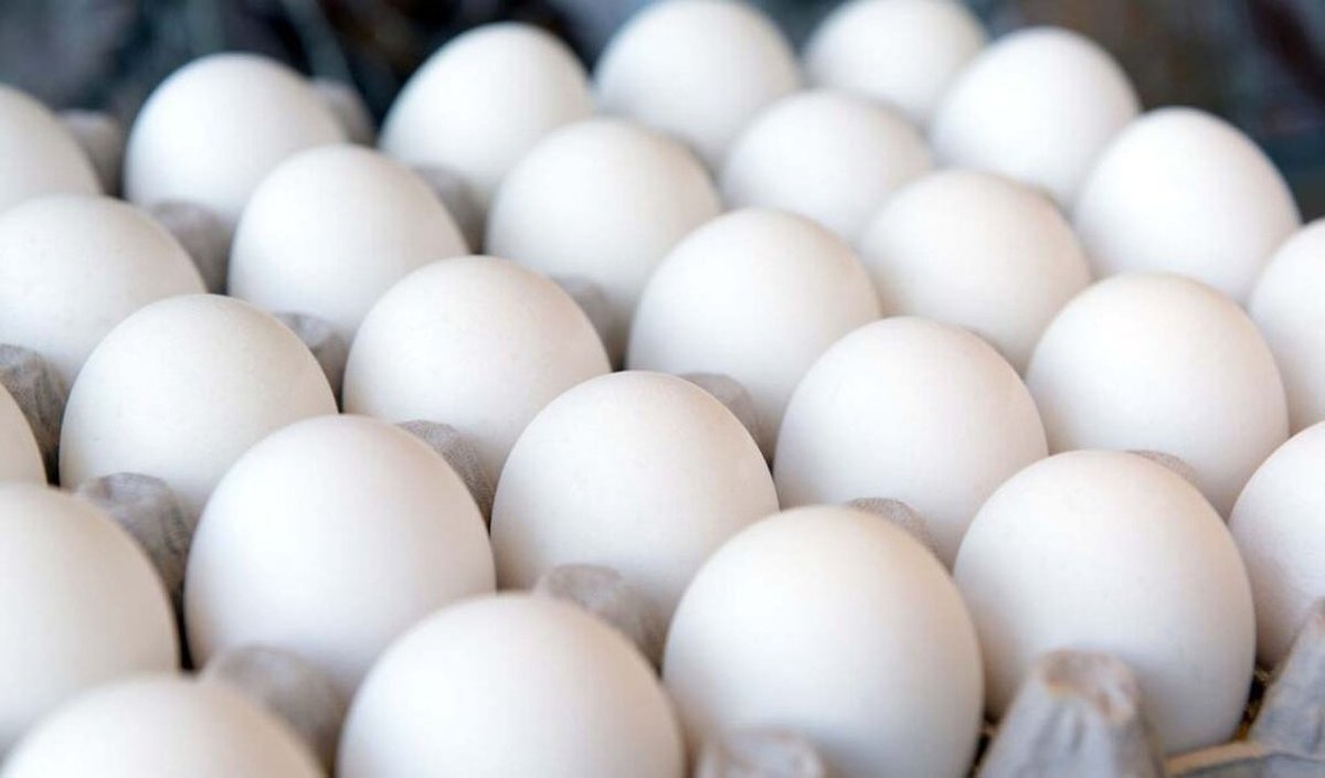 قیمت تخم مرغ حداکثر ۹۰ هزار تومان/ نهاده ها هنوز تحویل داده نشده