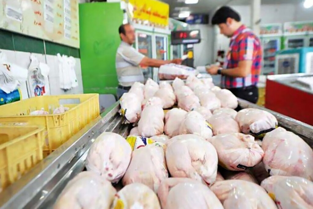 افزایش عرضه قیمت مرغ را کاهش داد