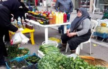 «روستا بازار» بستری برای معرفی توانمندی های محصولات روستایی
