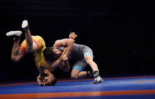 چهار فرنگی‌کار ایران فینالیست شدند