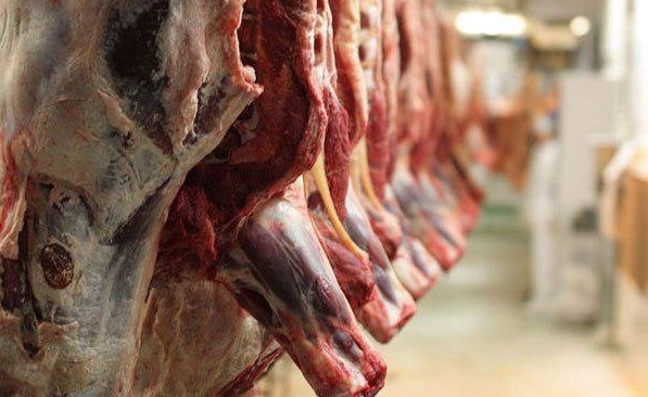 عرضه ۴۵ هزار تن گوشت قرمز در کشتارگاه‌های رسمی کشور