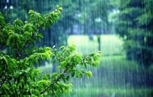 بارش ۵ روزه باران در برخی استان‌ها