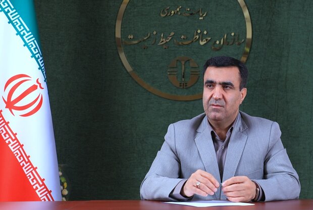 خبرنگاران در حوزه محیط زیست مطالبه‌گر باشند/ اهمیت فعالیت سمن‌ها خبرنگاران در حوزه محیط زیست مطالبه‌گر باشند/ اهمیت فعالیت سمن‌ها