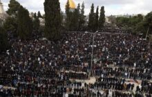 مشارکت ۴۰ هزار فلسطینی در نماز جمعه مسجدالاقصی