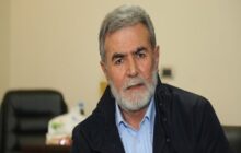 ایران صریح‌ترین حامی فلسطین در جهان است