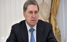 رایزنی‌های «پوتین» در حاشیه مجمع اقتصادی بین‌المللی سن‌پترزبورگ