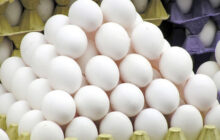 بازار کشور به ۱.۱ میلیون تن تخم مرغ نیاز دارد