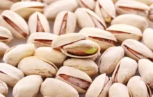 همکاری فائو و ایران برای ارتقا تولید و صادرات پسته