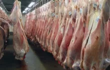ترخیص محموله ۲۰۰ تنی گوشت وارداتی پس از یکسال معطلی در گمرک