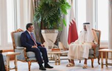 دیدار امیر قطر با معاون رئیس جمهور ترکیه