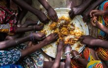 سرمایه گذاری کشور‌ها برای مقابله با بحران غذایی آینده