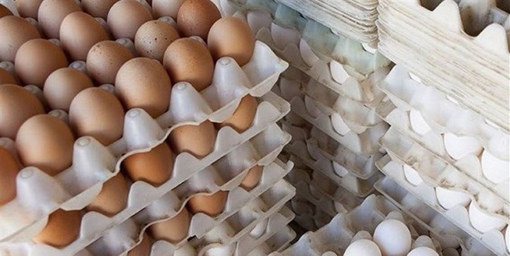 چرا قیمت تخم مرغ افزایش یافت