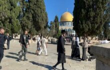 نیت شوم صهیونیست‌ها برای تعرض گسترده به مسجدالاقصی