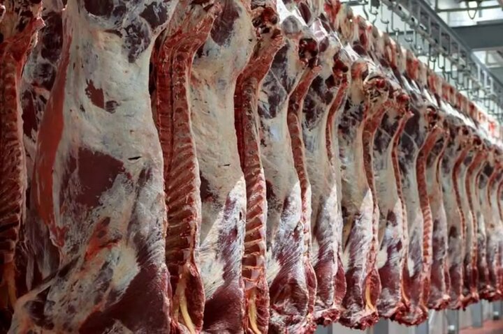 جریمه ۲۷ میلیارد ریالی یک واحد بسته بندی گوشت