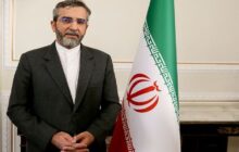 دولت نسبت به سرنوشت همه ایرانیان خارج از کشور اهتمام دارد