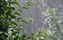 وضعیت بارش‌ کشور بهبود یافته است