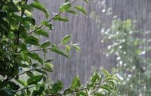 گزارش بارندگی از ۳۵۰ ایستگاه هواشناسی کشور
