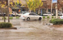 رگبار و باد شدید در برخی استان‌های جنوبی