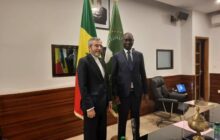 دولت‌های آفریقایی نمی‌گذارند غرب به غارت خود از آفریقا ادامه دهد