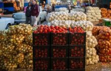 صادرات پیاز و گوجه فرنگی به زودی ممنوع می شود