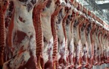 عرضه ۳۷ هزار تن گوشت قرمز در آبان ۱۴۰۲