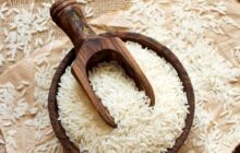 اطلاعیه وزارت جهاد کشاورزی درباره واردات برنج