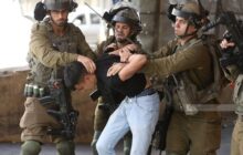 غارت اموال فلسطینی‌ها و بازداشت جوانان در کرانه باختری