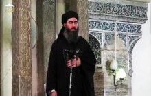 عراق از استرداد و بازجویی خانواده فراری «ابوبکرالبغدادی» خبر دا
