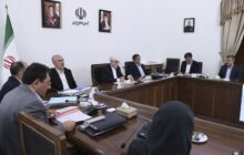 دولت بر لزوم تخصیص به موقع ارز دارو و تجهیزات پزشکی دقت نظر دارد