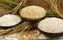 روایتی از پشت‌پرده گرانی برنج