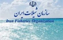 جزئیات تفحص از شیلات/ ارزهای اختصاص یافته رصد می‌شود