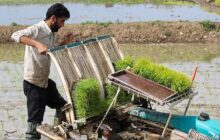 ۴۰ ظرفیت بی‌نظیر توسعه کشاورزی ایران