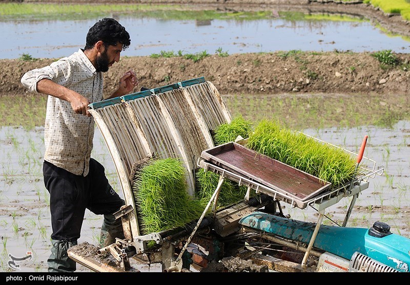 ۴۰ ظرفیت بی‌نظیر توسعه کشاورزی ایران