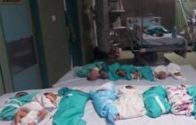 خطر بزرگ برای جان ۱۴ هزار نوزاد در غزه/ مرگ تلخ زنان