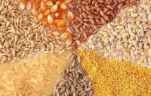 تداوم تخصیص ارز ۲۸۵۰۰تومانی برای برخی کالاهای اساسی
