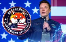دولت یا شرکت تجاری؟؛ واکاوی علل شکست طرح DOGE ایلان ماسک در دولت ترامپ