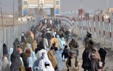 سازمان ملل: اخراج شتابزده پناهجویان از پاکستان خطر بی‌ثباتی را افزایش می‌دهد