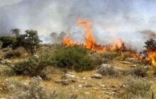 آتش‌سوزی هفته گذشته کجا رخ داد دیل یا خارج از آن؟