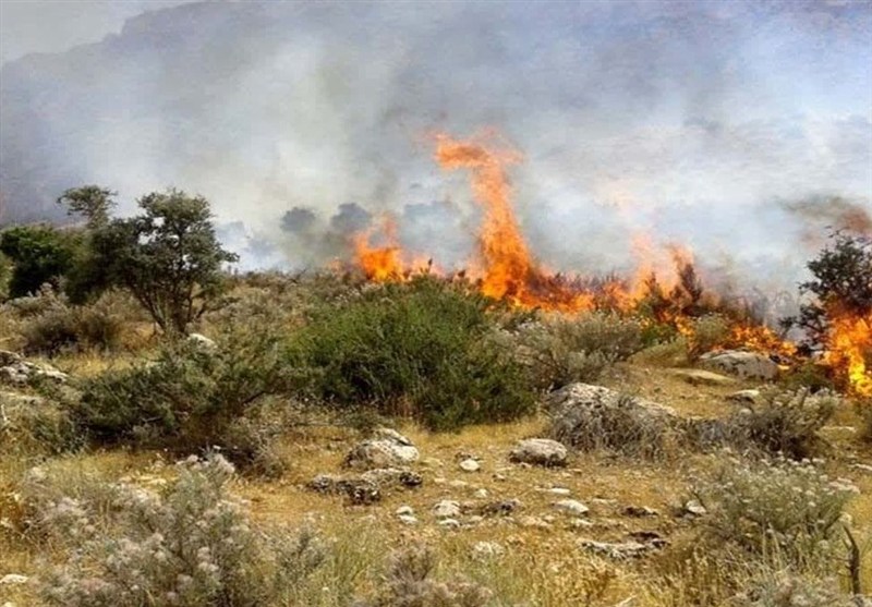آتش‌سوزی هفته گذشته کجا رخ داد دیل یا خارج از آن؟